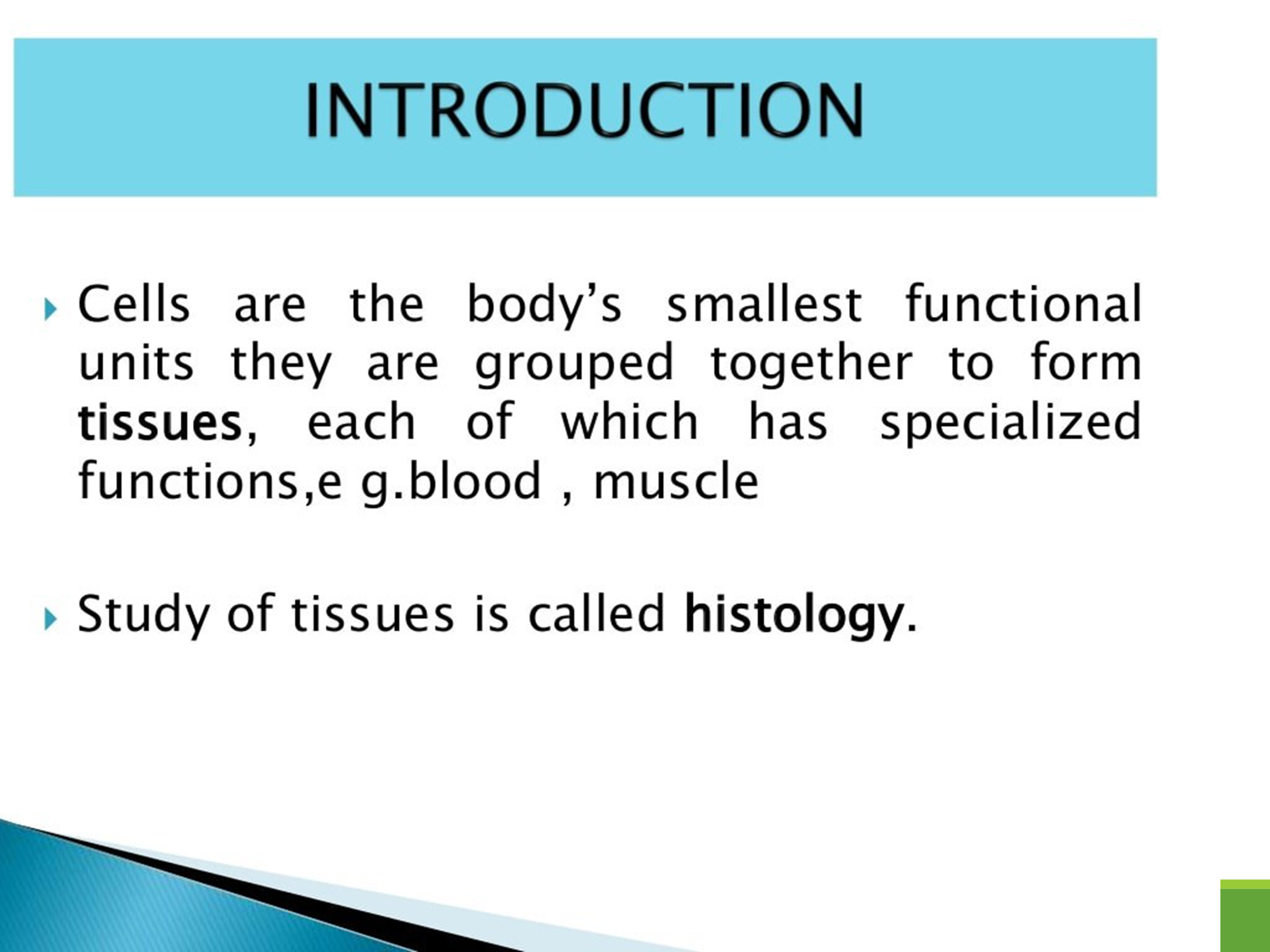 No preview available